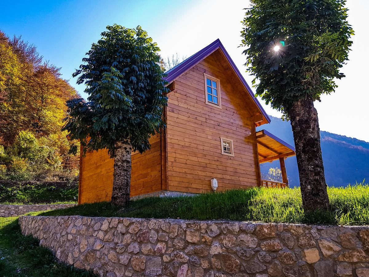 Дома для отпуска Holiday Home Milica Колашин-18