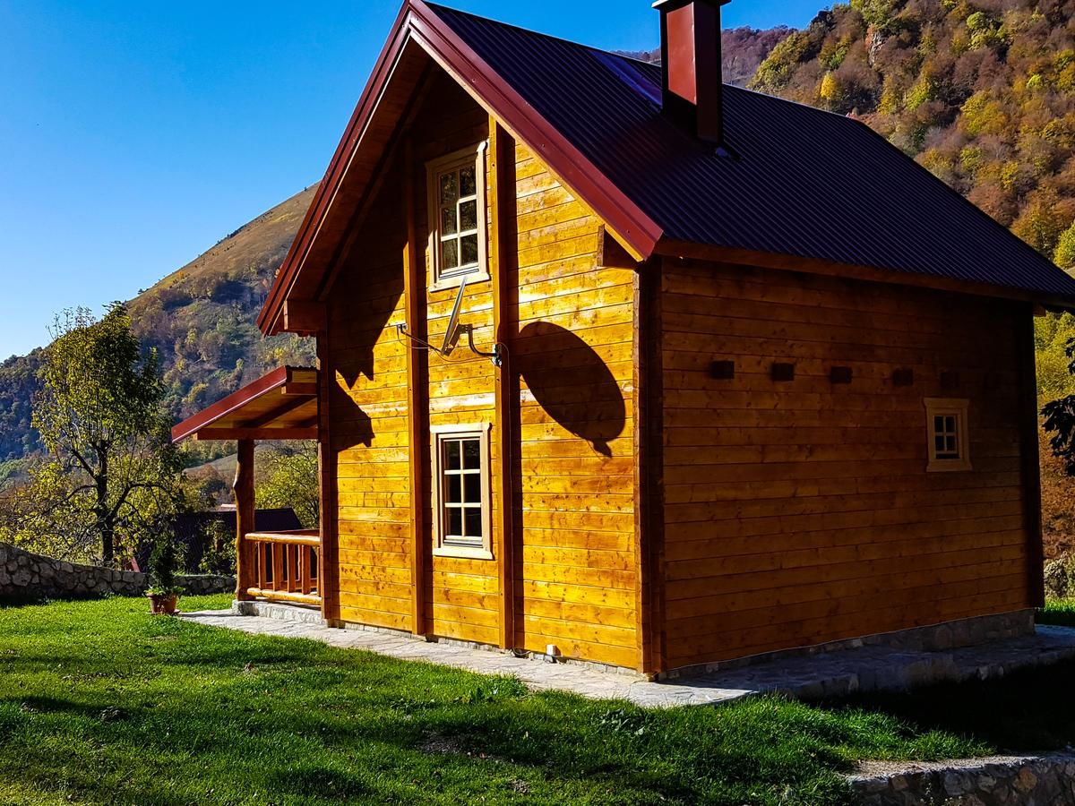 Дома для отпуска Holiday Home Milica Колашин-19