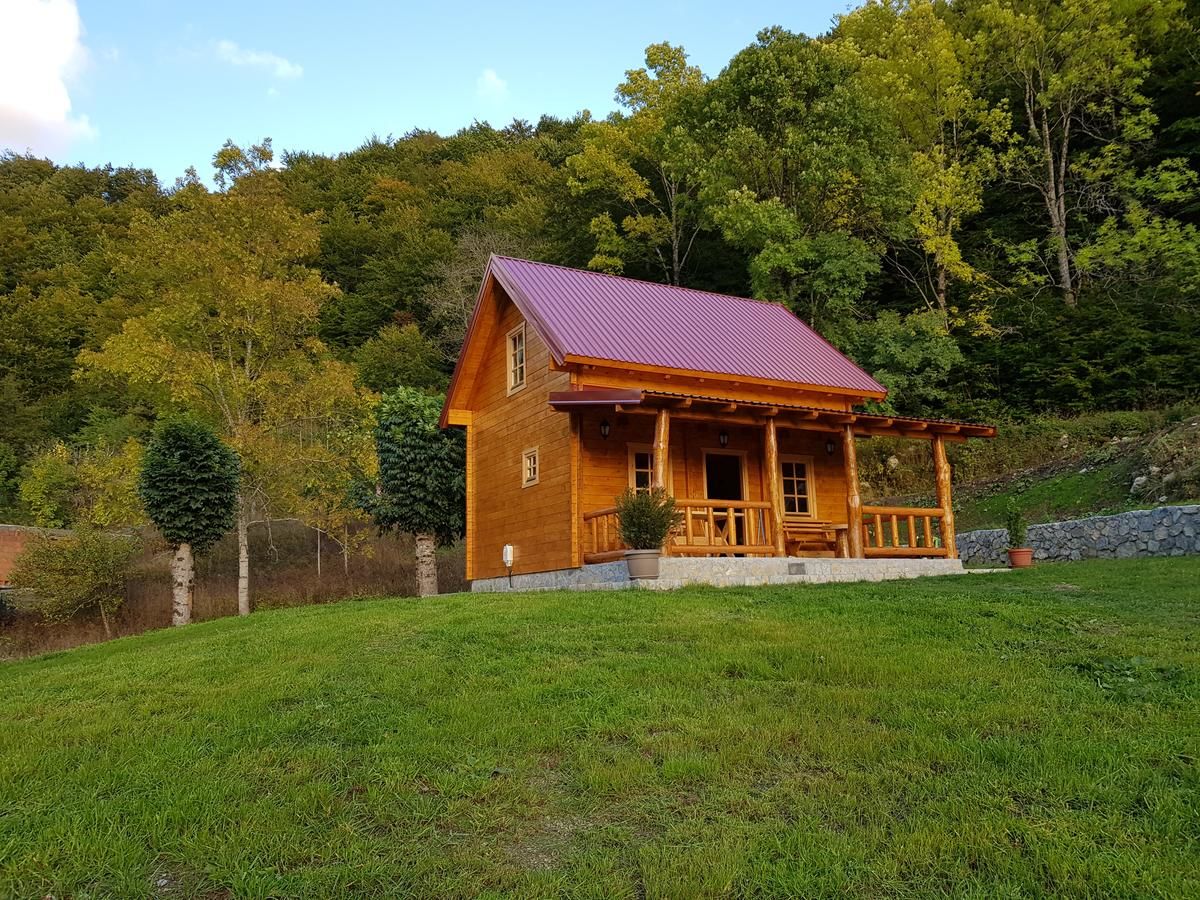 Дома для отпуска Holiday Home Milica Колашин-21