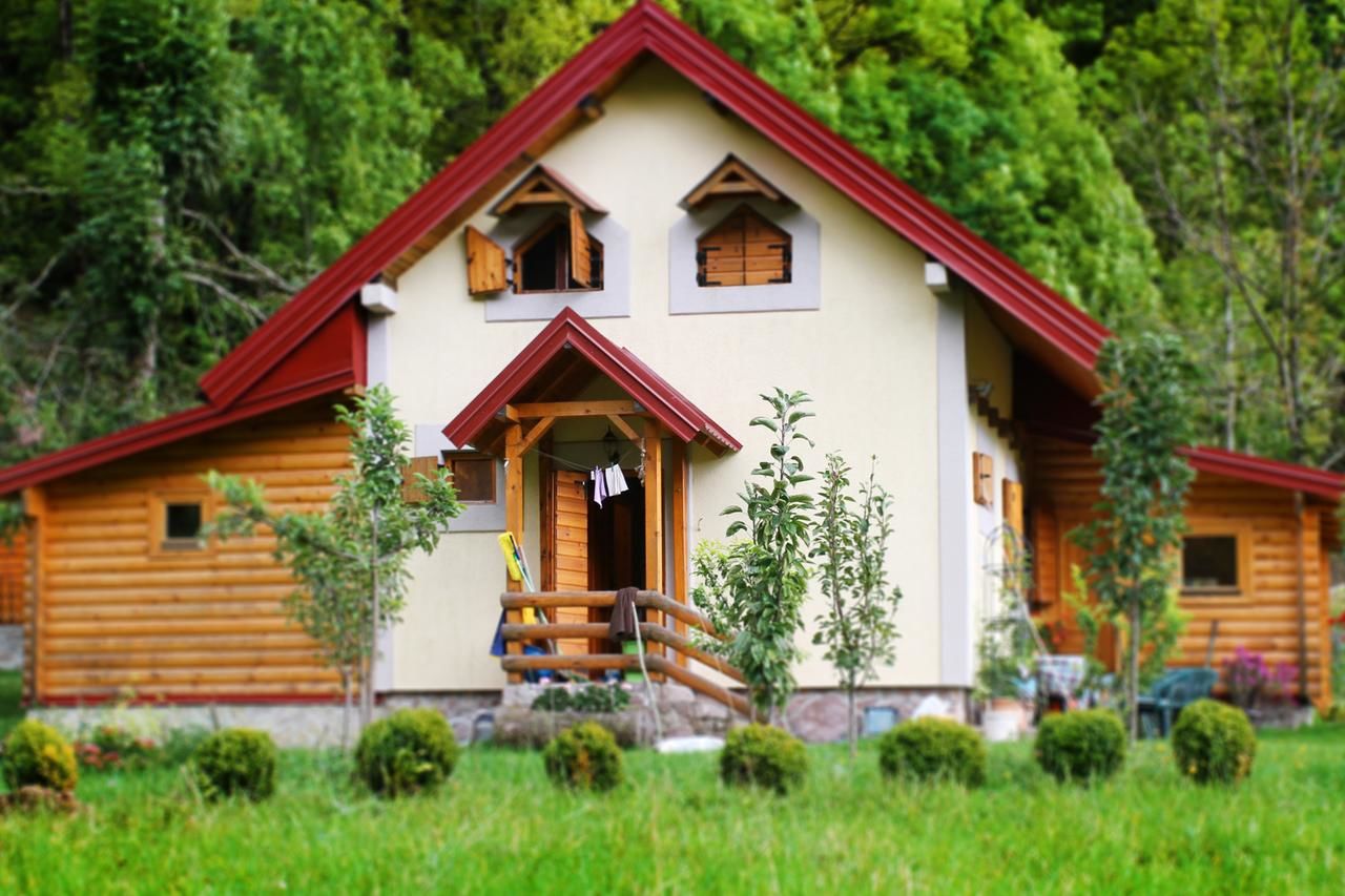 Дома для отпуска Holiday Home Milica Колашин-33