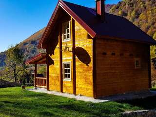 Дома для отпуска Holiday Home Milica Колашин Дом с 2 спальнями-14